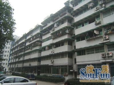 南河苑3室1厅2卫东南朝向3496.00元/月出租