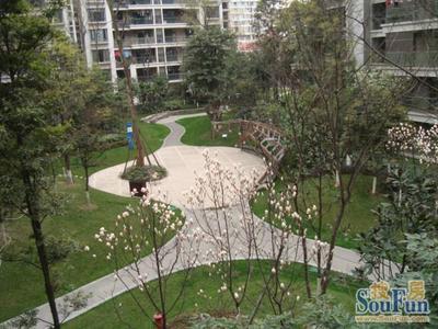 金林大城小室1室1卫西南朝向2500.00元/月出租