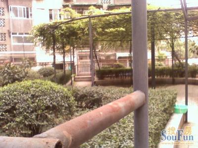 全兴酒厂宿舍2室2厅1卫东南朝向1700.00元/月出租