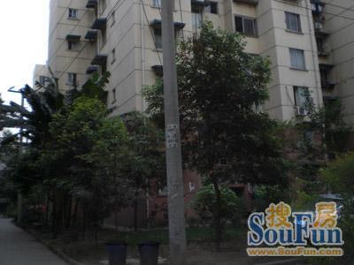 莲花新一区1室1厅1卫东南朝向1472.00元/月出租