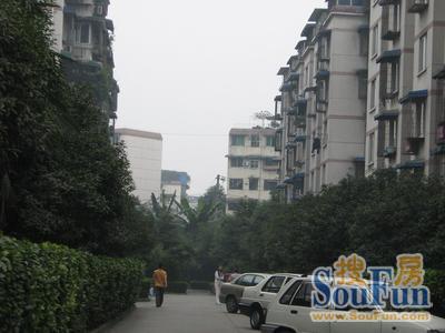 锦桂苑3室1厅1卫东南朝向2400.00元/月出租