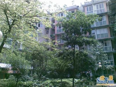 碧莲雅舍2室1厅1卫南朝向2600.00元/月出租