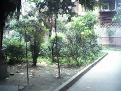 石人西路28号院1室1厅1卫南朝向1400.00元/月出租