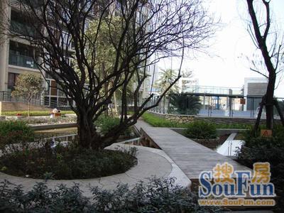 金沙兰亭2室1厅1卫南朝向2650.00元/月出租