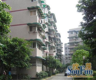 华房苑4室2厅2卫东南朝向2800.00元/月出租