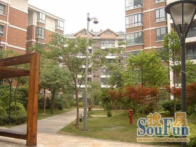 清水源二期3室2厅1卫南朝向2300.00元/月出租