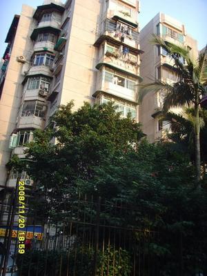 明月小区2室1厅1卫东南朝向2900.00元/月出租