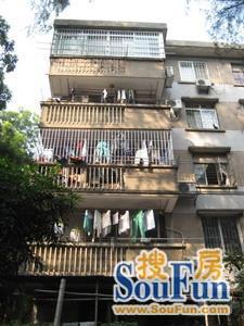 华农嵩山区宿舍4室1厅2卫南朝向8500.00元/月出租