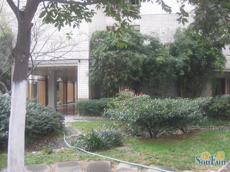 交大智能三期3室1厅2卫东南朝向2700.00元/月出租