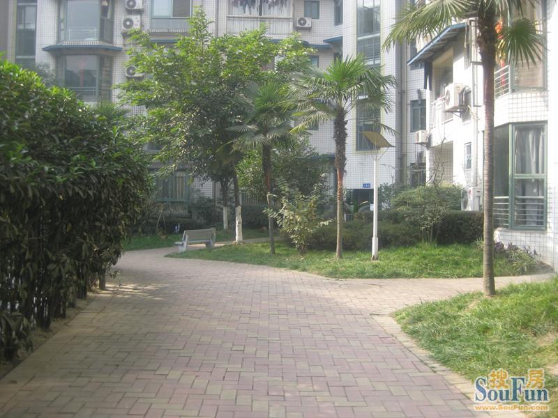 金色阳光3室1厅2卫东南朝向2500.00元/月出租