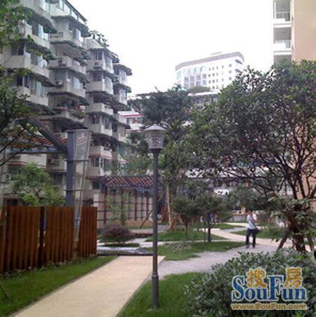 芙蓉宅院3室2厅2卫东西南北朝向2700.00元/月出租