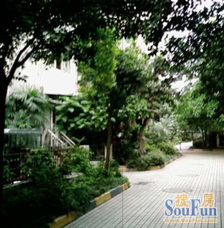 宏源新居3室2厅2卫东南朝向2900.00元/月出租