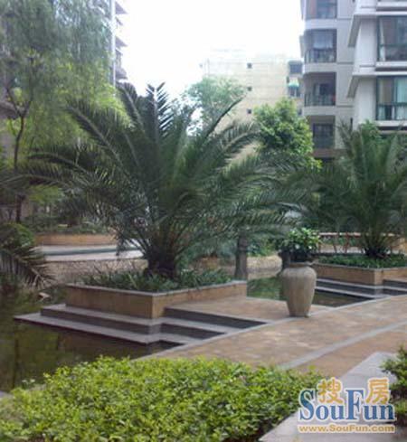 凯瑞花都3室2厅2卫东北朝向3200.00元/月出租