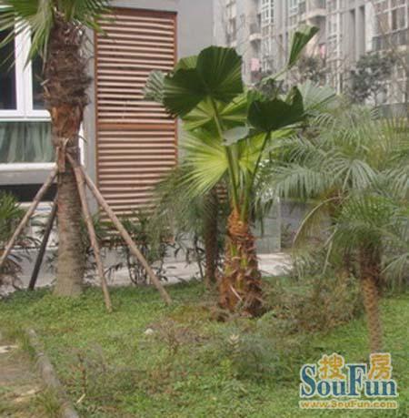 整租·营福苑3室2厅