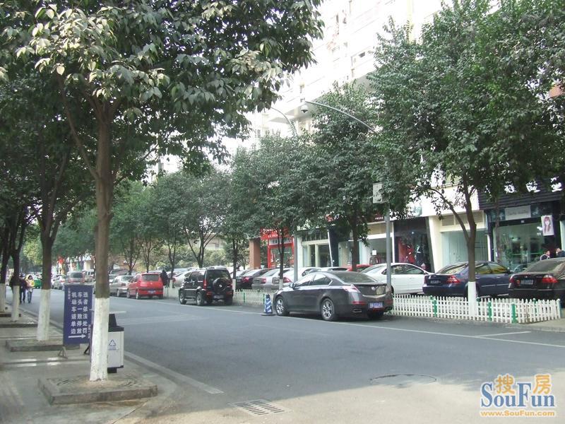 梧桐世家二期1室1厅1卫西南朝向2200.00元/月出租