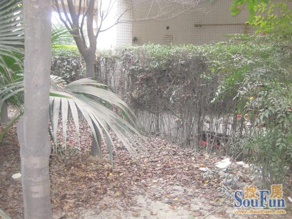 久鑫华园2室1厅1卫西北朝向1500.00元/月出租