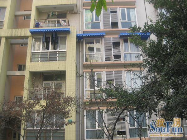 久鑫华园2室1厅1卫南朝向1800.00元/月出租