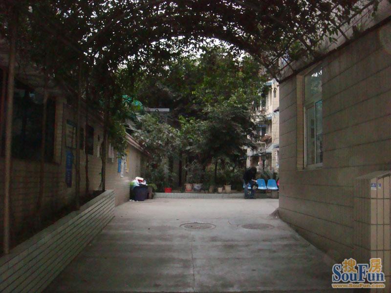 华民逸园3室2厅3卫东南朝向3400.00元/月出租