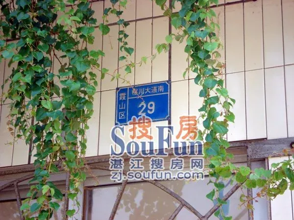 按此在新窗口浏览图片
