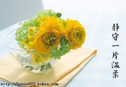 ����鿴��һ��: 2