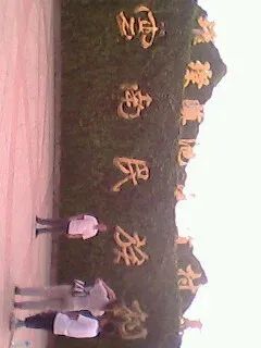 ����鿴��һ��: IMG0068A
