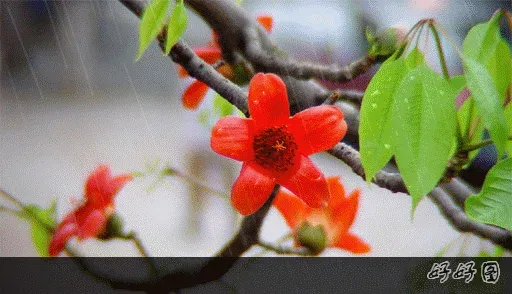 ����鿴��һ��: wx7452_1169132073317374