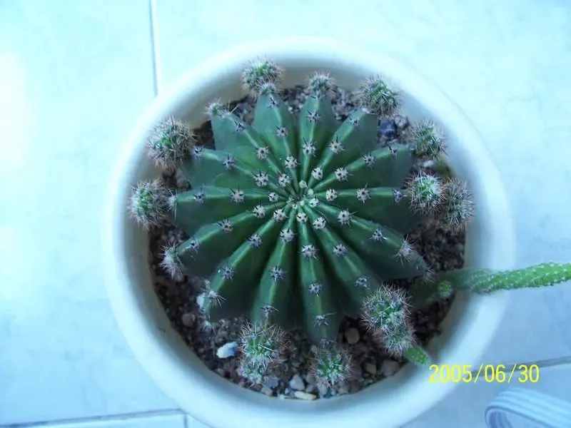 ����鿴��һ��: ������