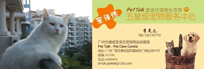����鿴��һ��: ��̳��Ƭ