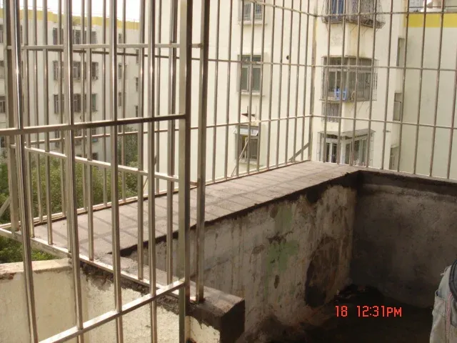 ����鿴��һ��: DSC00454