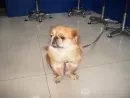 ����鿴��һ��: 1188988783_0.95575700
