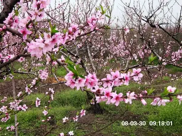 ����鿴��һ��: �һ�2