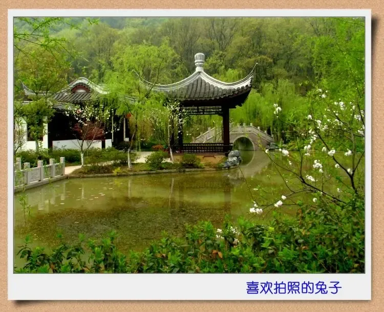 ����鿴��һ��: zy3