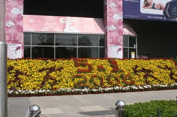 ����鿴��һ��: �ҵ��������˰�������ף����