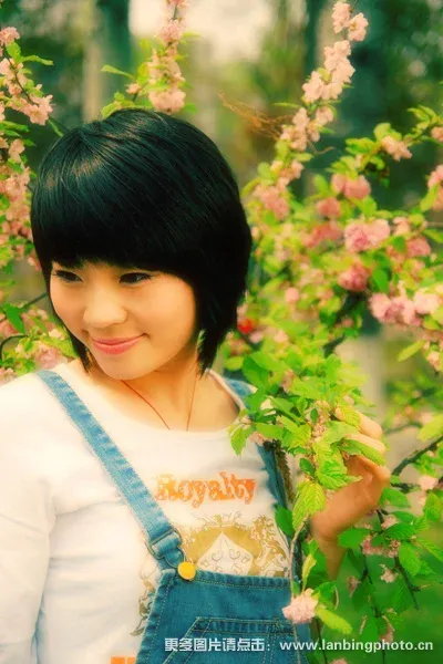 ����鿴��һ��: ����042
