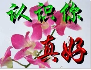 ����鿴��һ��: DSC01008