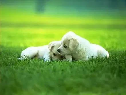 Ũ������