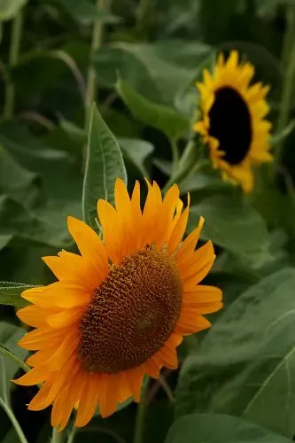 ����鿴��һ��: DSC03002