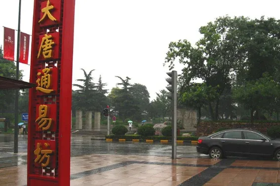 点击查看下一张: 1194788083629_000