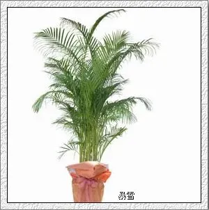 点击查看下一张: 6