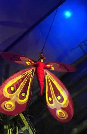 点击查看下一张: 1194788083629_000