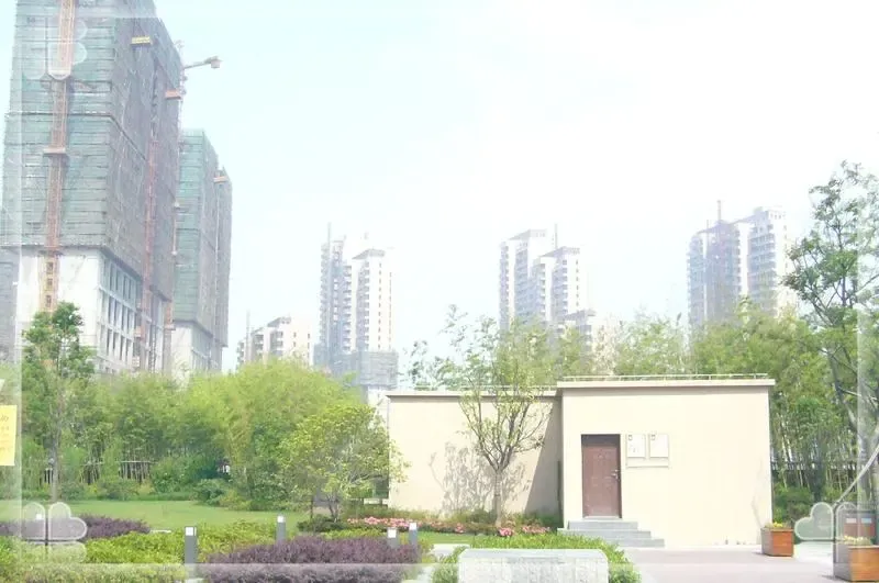 点击查看下一张: P1020893
