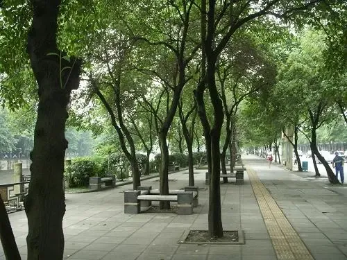 都会风尚3室1厅2卫西南朝向4900.00元/月出租