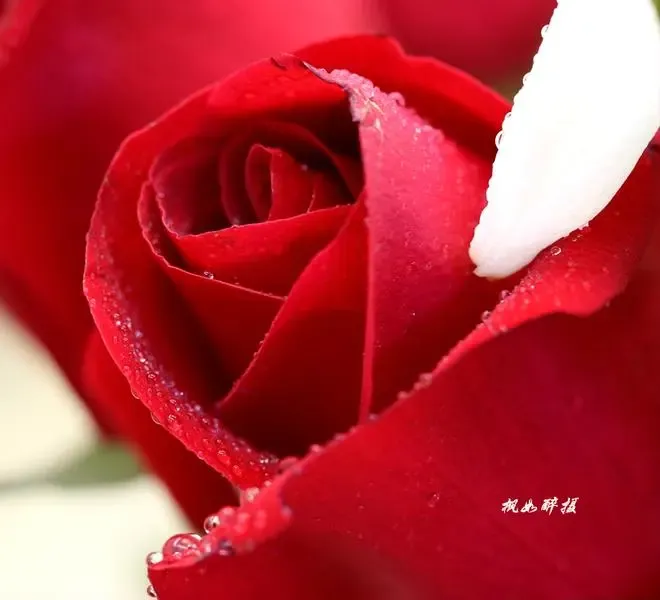����鿴��һ��: IMG_3086