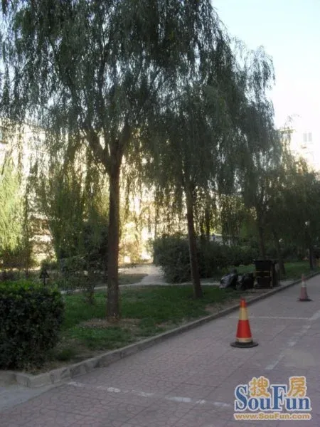 整租·大红门·建欣苑三里·2室