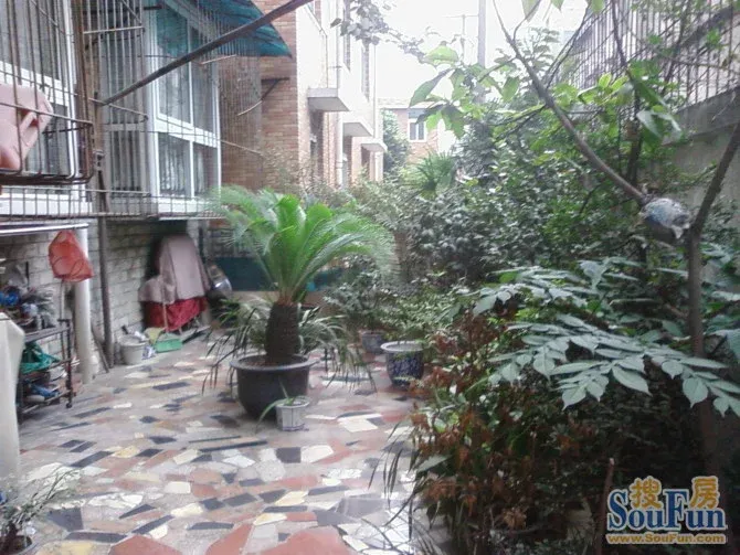 金犀庭苑3室1厅1卫西南朝向2000.00元/月出租