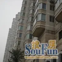 �йش�319��¥ �⾰ͼ