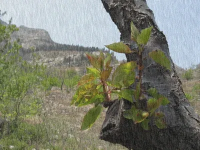 gif动画——春雨图