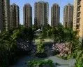 抢占奥克斯盛世经典