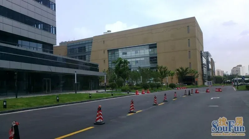 提神七宝图片