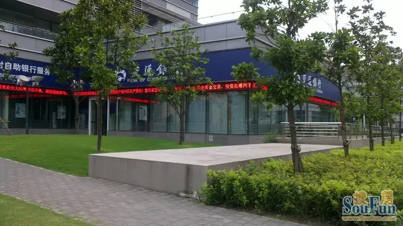 提神七宝图片